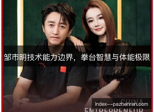 邹市明技术能力边界，拳台智慧与体能极限